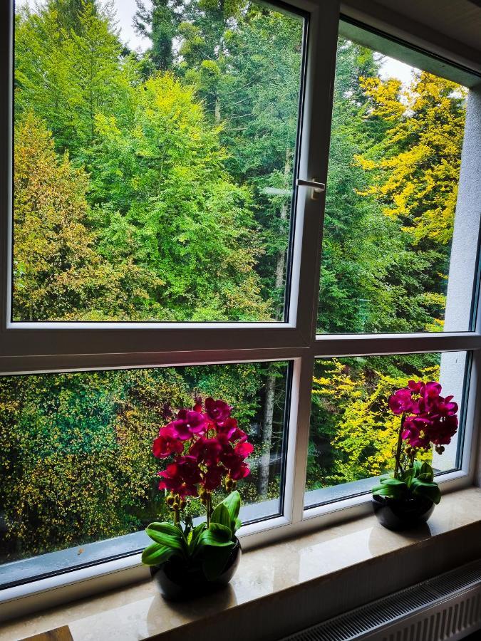 Apartament Kurort Kozubnik Wilcza Wataha Porabka ภายนอก รูปภาพ